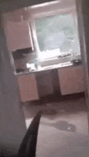 People Have Fun On Construction Sites (15 gifs)