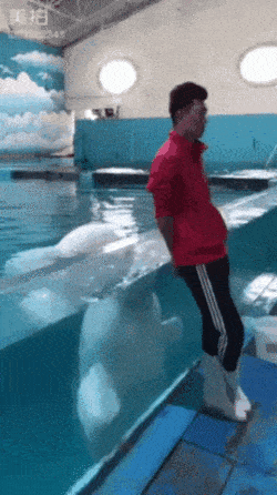 Acid Gifdump, May 29, 2018 (25 gifs)