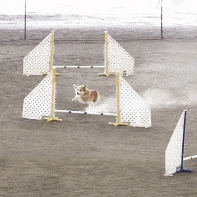 Acid Gifdump, May 29, 2018 (25 gifs)