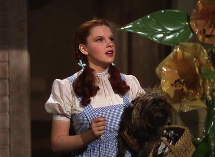 Iconic Movie Props That Were Sold For A Lot Of Money (16 pics)