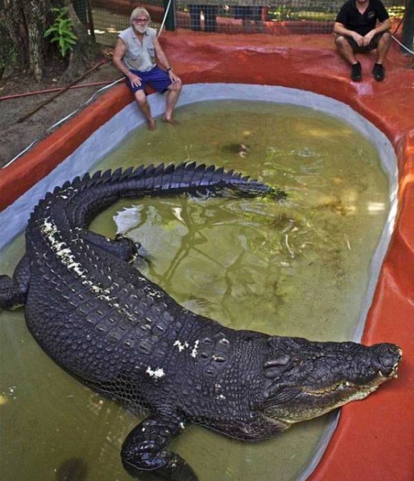 Acid Picdump (90 pics)