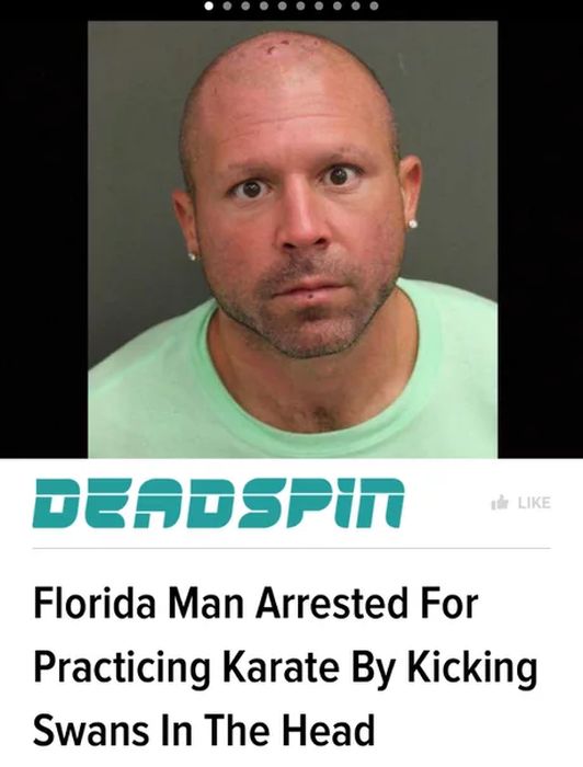 What Is Wrong With Florida (20 pics)