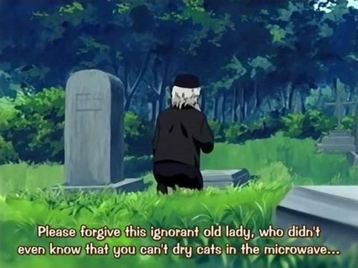 Anime Subtitles Lost In Translation (25 pics)
