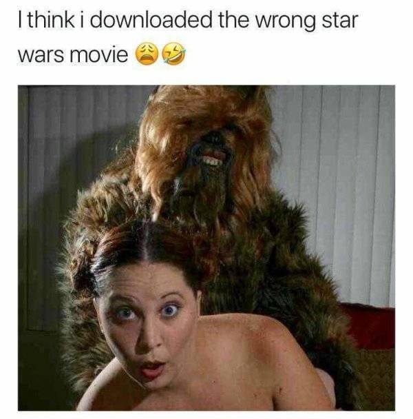 You Downloaded A Wrong Movie (15 pics)
