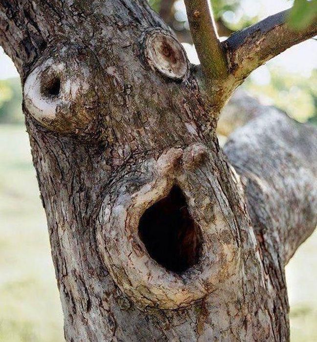 Nature Is Beautiful (45 pics)