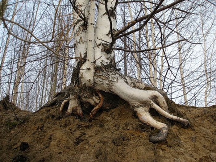 Nature Is Beautiful (45 pics)