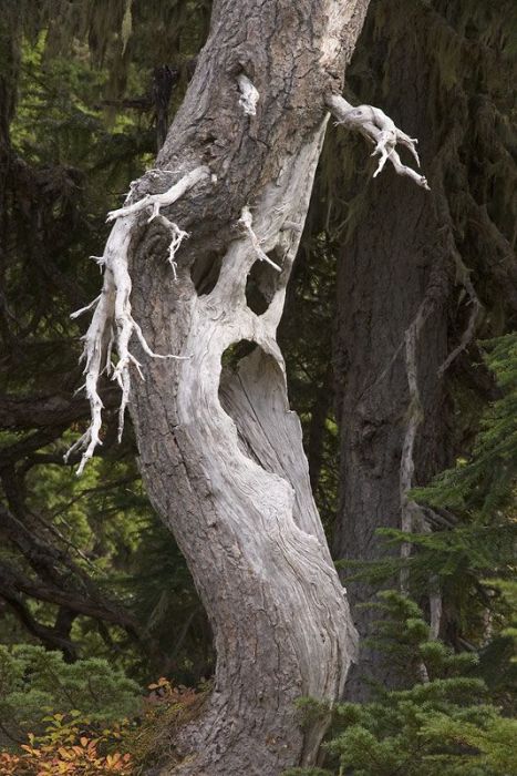 Nature Is Beautiful (45 pics)