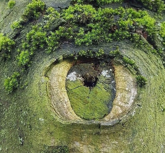 Nature Is Beautiful (45 pics)