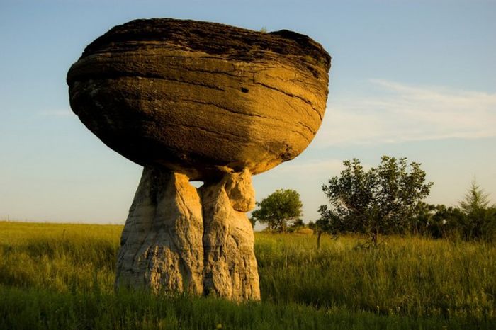 Nature Is Beautiful (45 pics)