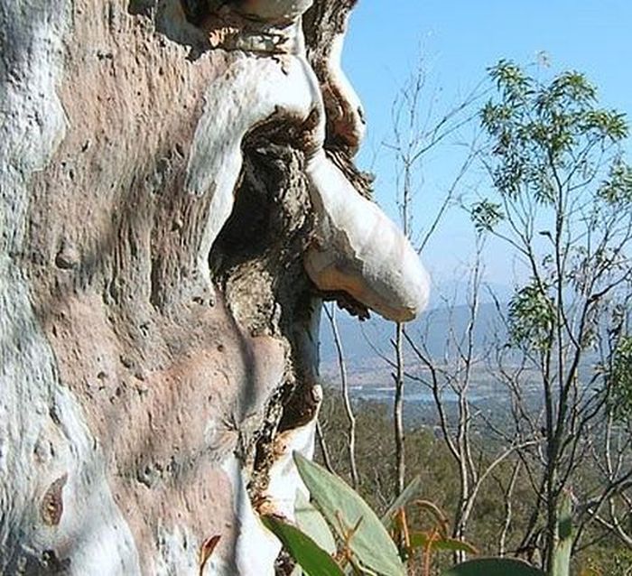 Nature Is Beautiful (45 pics)