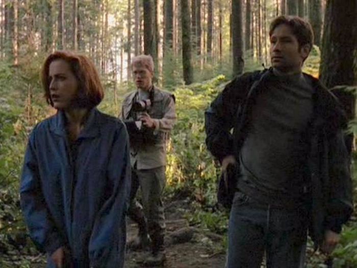 What TV Show Was The Best In The Year You Were Born (51 pics) What TV Show Was The Best In The Year You Were Born (51 pics)