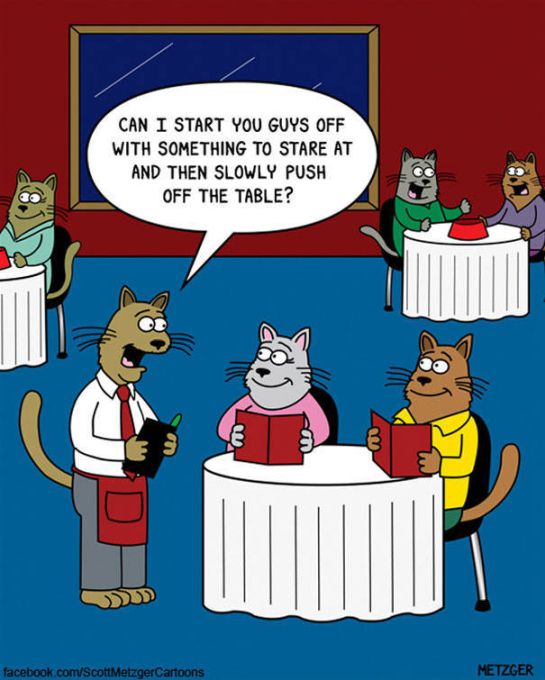 Funny Cat Cartoons (38 pics)