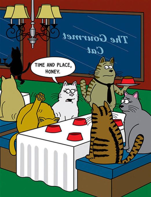 Funny Cat Cartoons (38 pics)