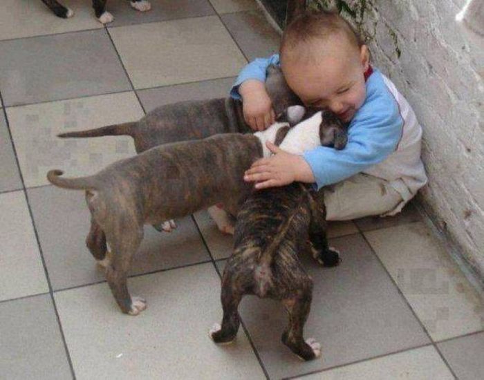 When A Picture Says More Than Just A Thousand Words (54 pics)