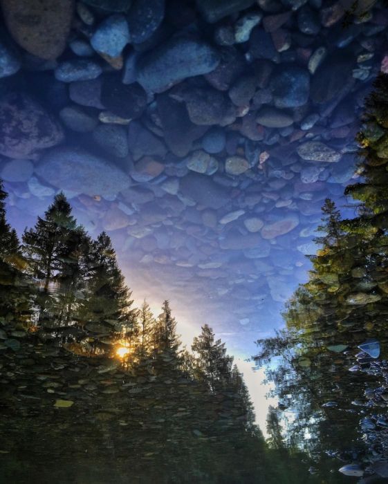 Acid Picdump (90 pics)