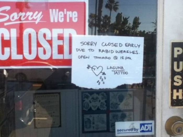 Funny Signs (37 pics)