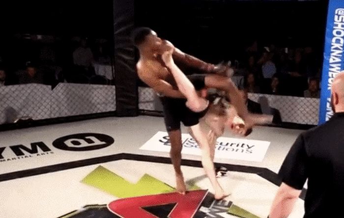 Fighting And Martial Arts (15 gifs)
