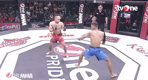 Fighting And Martial Arts (15 gifs)