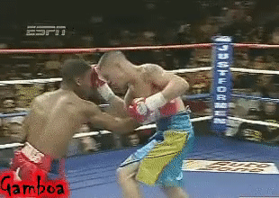 Fighting And Martial Arts (15 gifs)