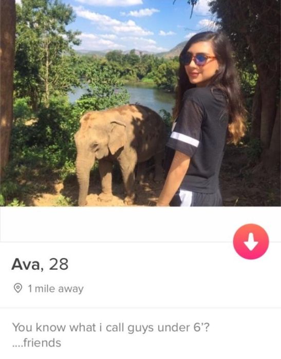 Tinder: Where shame doesn’t exist (26 pics)