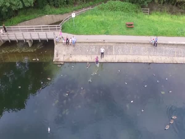 Man Jumps in a Lake to Save His Drone
