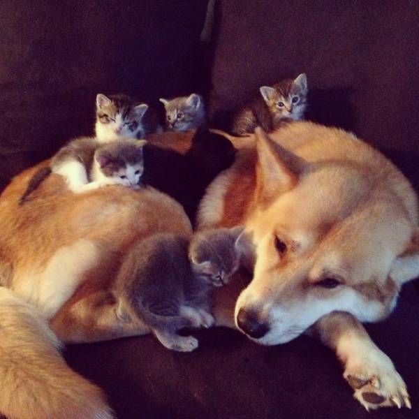 Acid Picdump (90 pics)