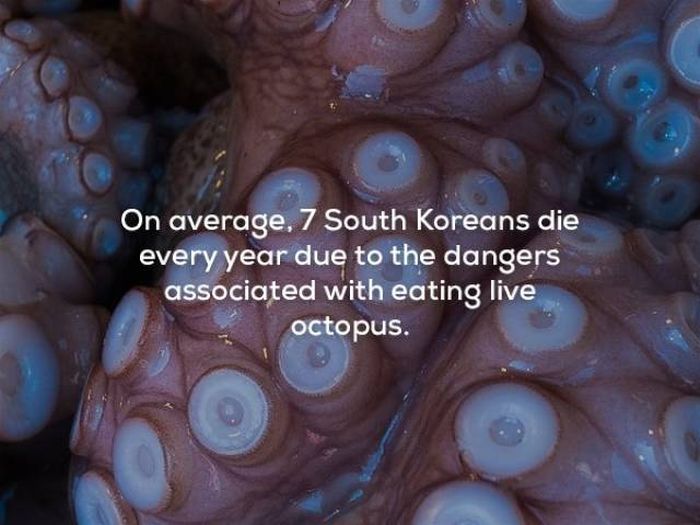 Scary Facts (29 pics)