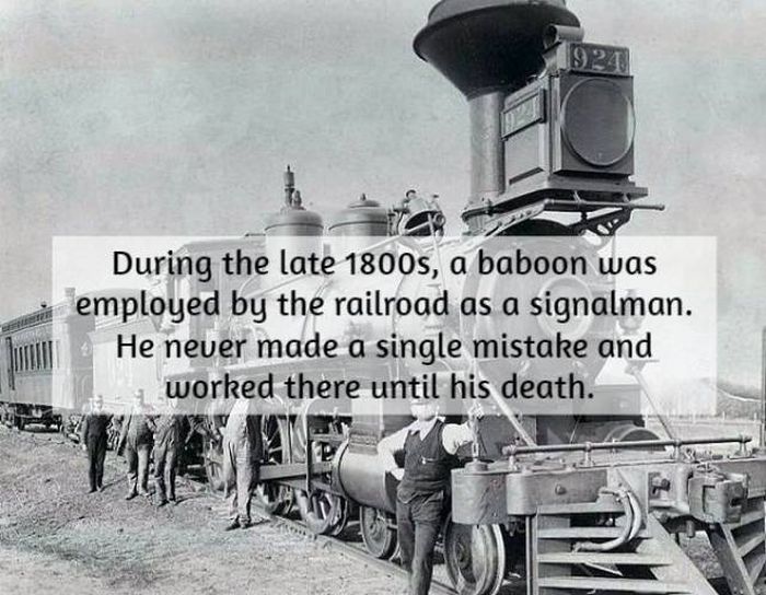 interesting-historical-facts-18-pics