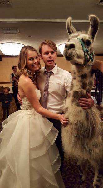 Funny And Strange Wedding Photos (29 pics)