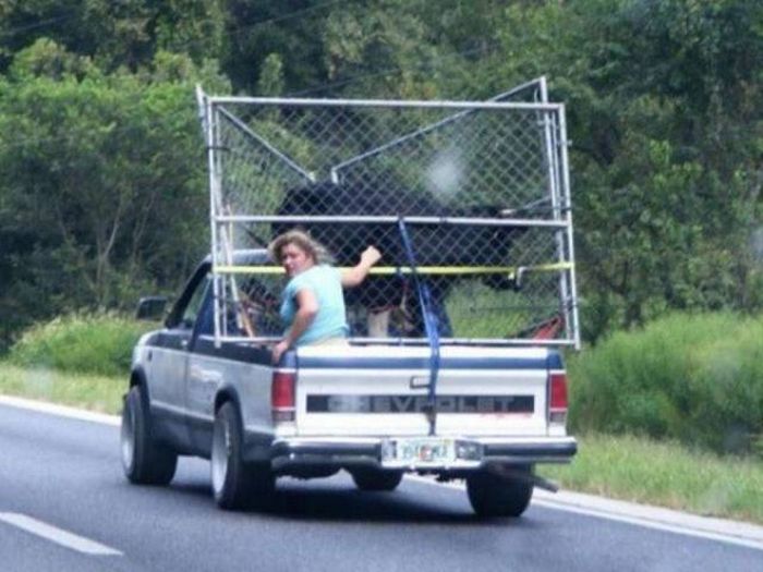 Acid Picdump (72 pics)