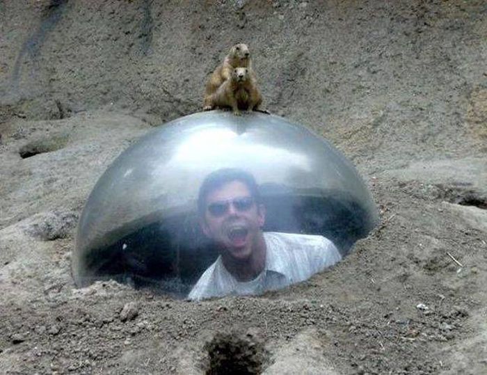 Acid Picdump (72 pics)