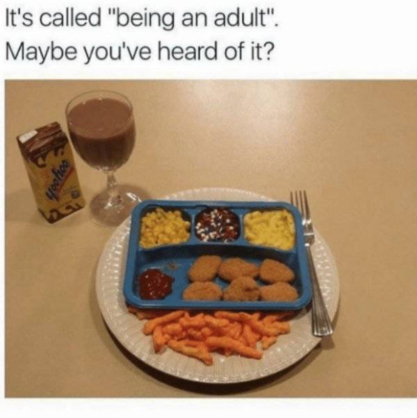 Being Adult Is Hard (26 pics)