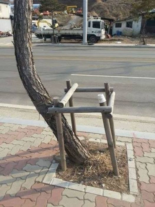They Failed (70 pics)