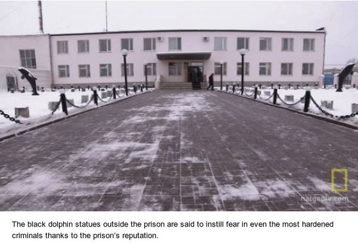 Black Dolphin Prison, Where Russia’s Worst Criminals Serve Their Life Sentences (15 pics)