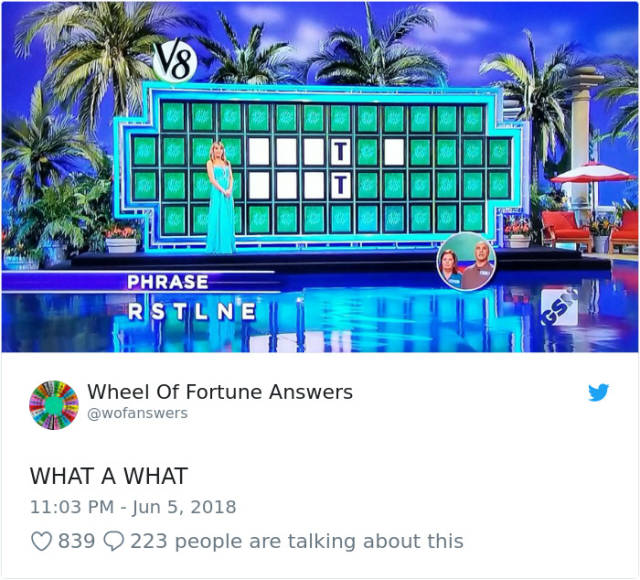 The Only Correct Answers To “Wheel Of Fortune” (38 pics)