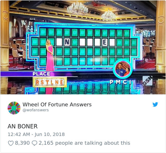 The Only Correct Answers To “Wheel Of Fortune” (38 pics)