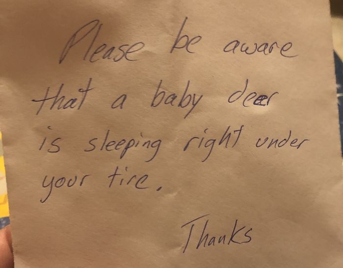 An Old Lady Left This Note At Front Door (2 pics)