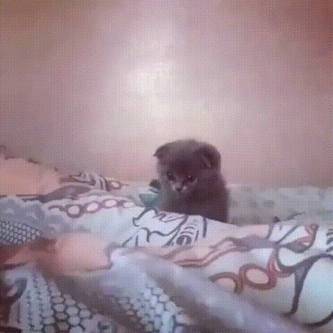 Acid Gifdump, June 14, 2018 (25 gifs)