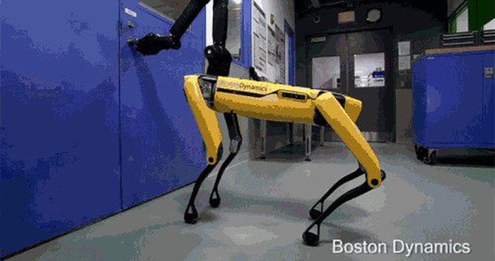 Robot Uprising Is Coming (15 gifs)