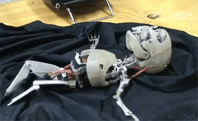 Robot Uprising Is Coming (15 gifs)