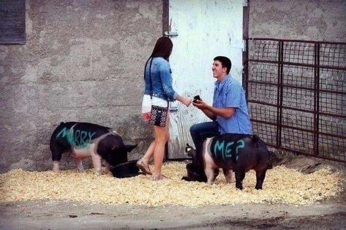 Acid Picdump (91 pics)