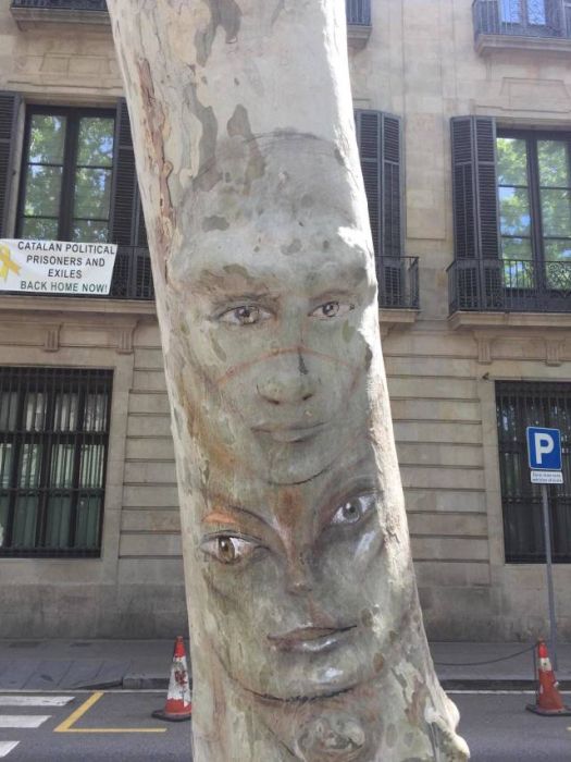 Acid Picdump (91 pics)