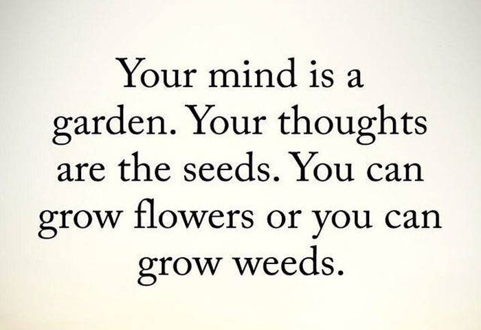 Your Daily Dose Of Motivation (34 pics)