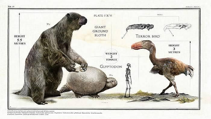 Ancient Giant Animals (8 pics)