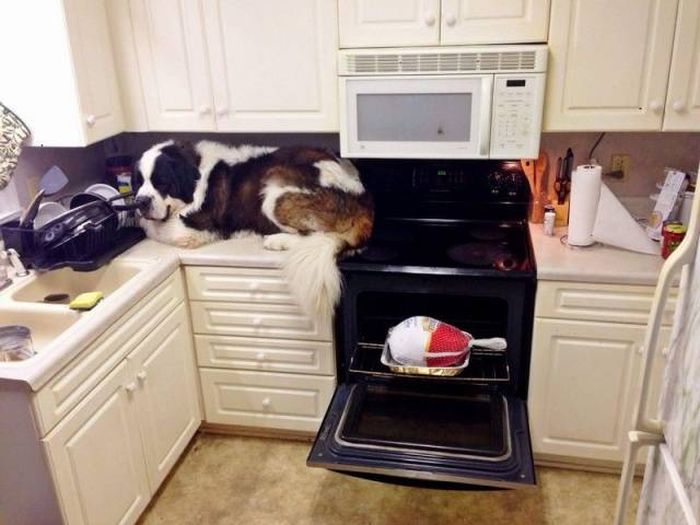 Acid Picdump (92 pics)