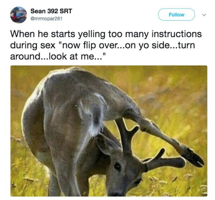 Dirty Tweets (21 pics)