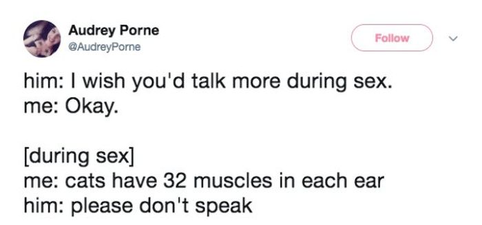 Dirty Tweets (21 pics)