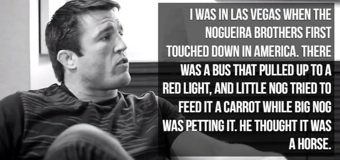 Chael Sonnen's Trash-talking (19 pics)