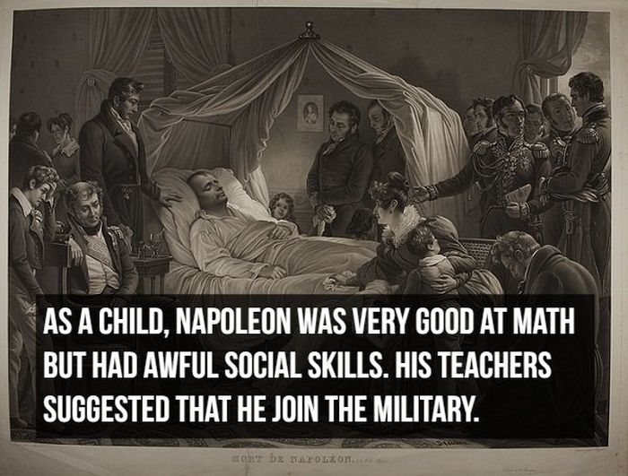 Interesting Facts About Napoleon Bonaparte (20 pics)