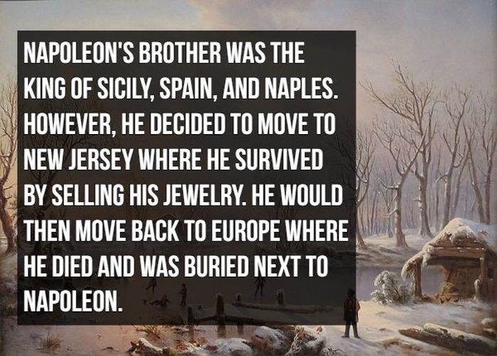 Interesting Facts About Napoleon Bonaparte (20 pics)